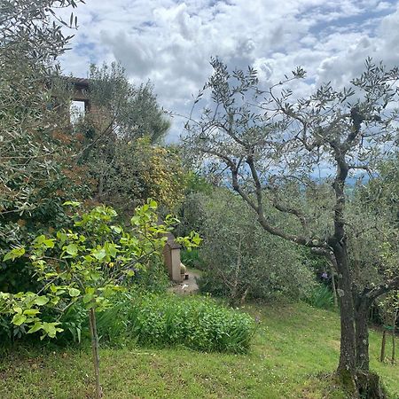 Podere Casallorto Volterra Exterior photo